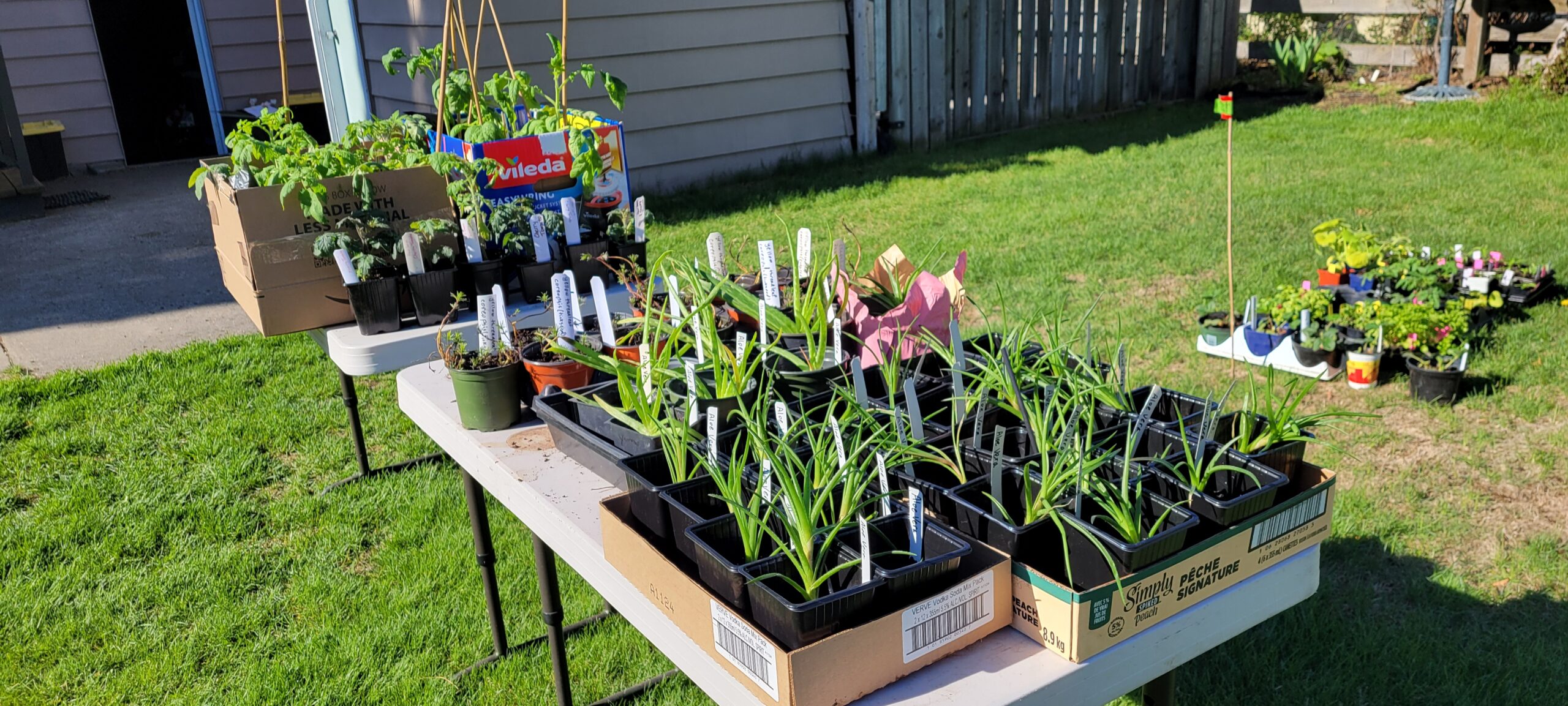 Get growing, Kamloops! - Transition Kamloops