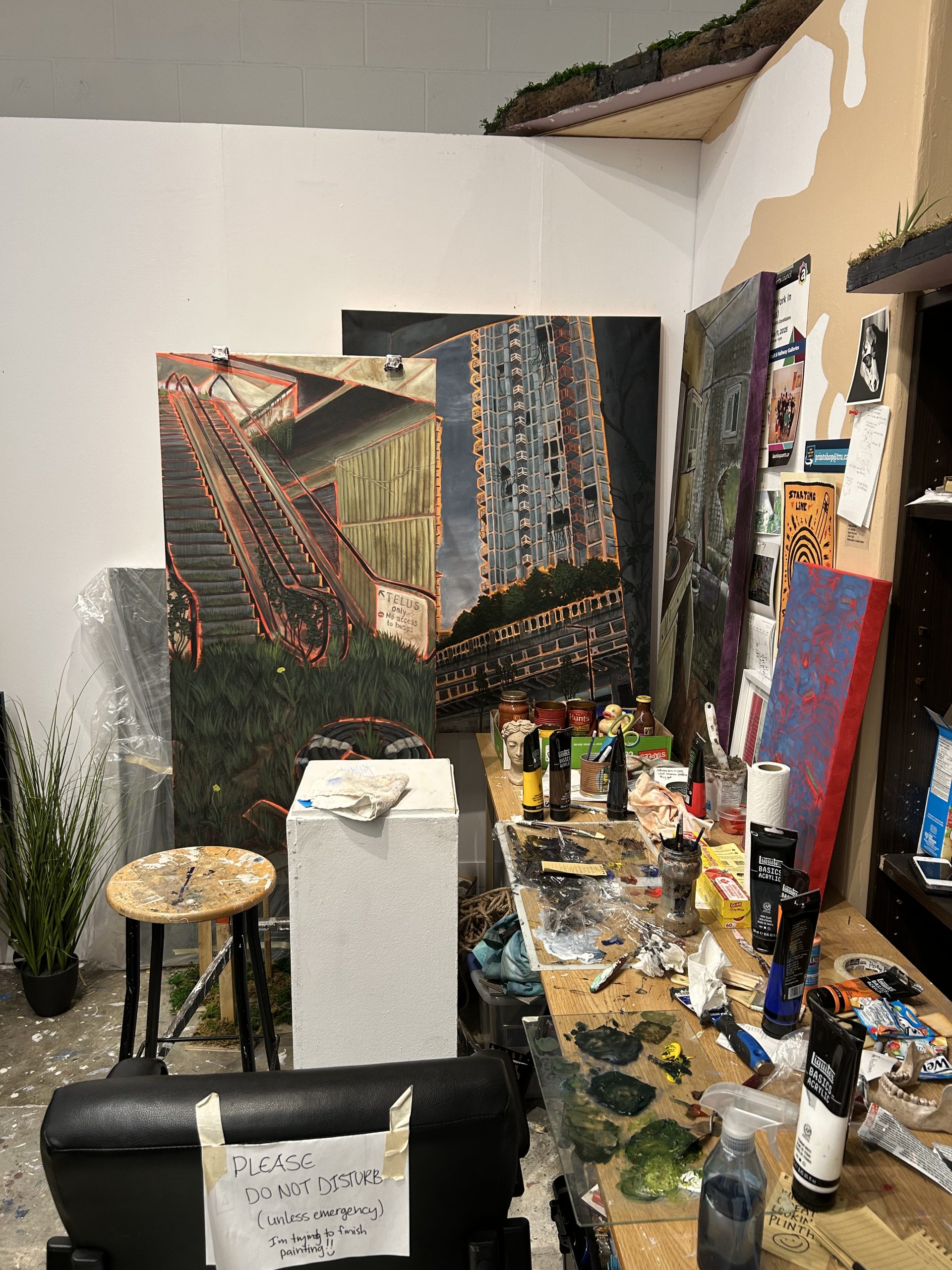 Member of the Month - Kamloops Arts Council