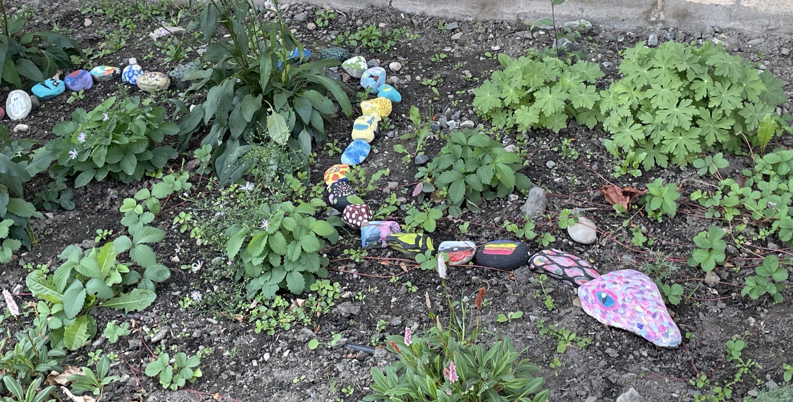 TNXA Demo Garden Blooms on Seymour