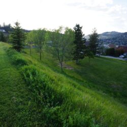 Aberdeen Hills Park