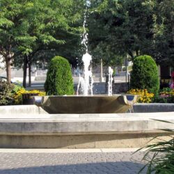 Gaglardi Square 11