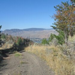 Kenna Cartwright Park 10