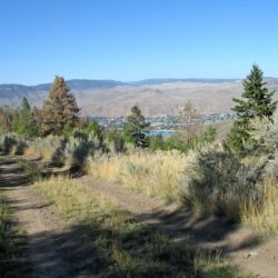 Kenna Cartwright Park 12