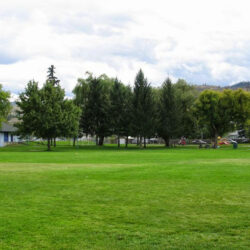 McDonald Park 8