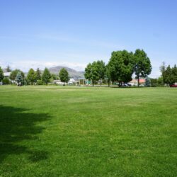 McDonald Park 14