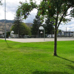 McDonald Park 4