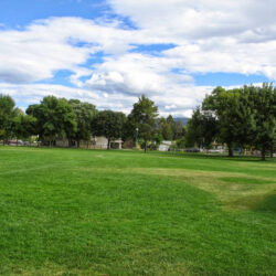 McDonald Park 5