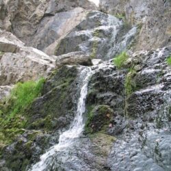 Peterson Creek Park