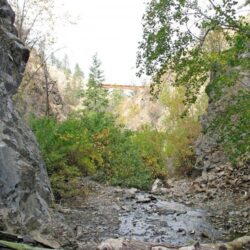 Peterson Creek Park 19
