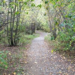 Peterson Creek Park 3