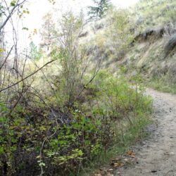 Peterson Creek Park 6