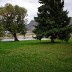 Pioneer Park 1
