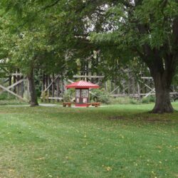 Pioneer Park 2
