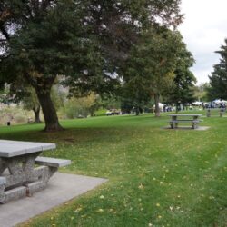 Pioneer Park 3